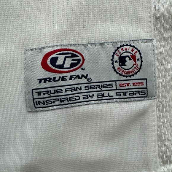 Tampa Bay Rays MLB True Fan Sewn Embroidered Size XL Blue Jersey - Picture 3 of 7